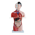 42cm weiblicher Torso 15 Teile